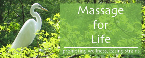 Bret Bailey, Licensed Massage Therapist, Rhinebeck